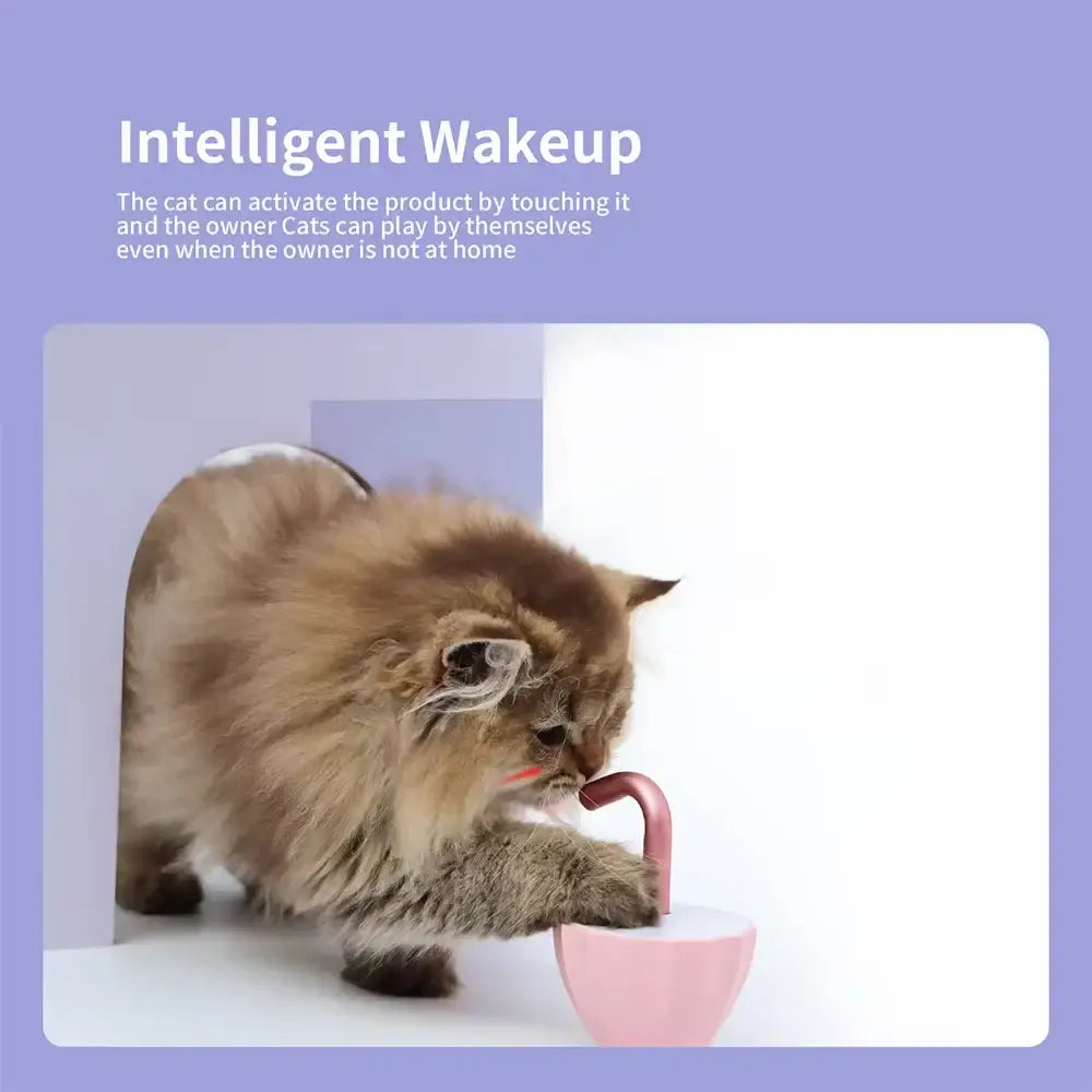 Cat Laser Toy Interactive Tumbler Design for Indoor Kitten Tumbler Interaction Toys USB Charging 360 Degree Irregular