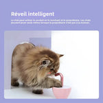 Cat Laser Toy Interactive Tumbler Design for Indoor Kitten Tumbler Interaction Toys USB Charging 360 Degree Irregular