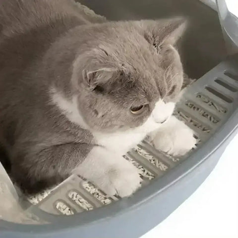 Cat Litter Box Kitty Sandbox Semi-enclosed High Side Splashproof Cat Toilet Pet Bedpans with Litter Scoop Cleaning Cat