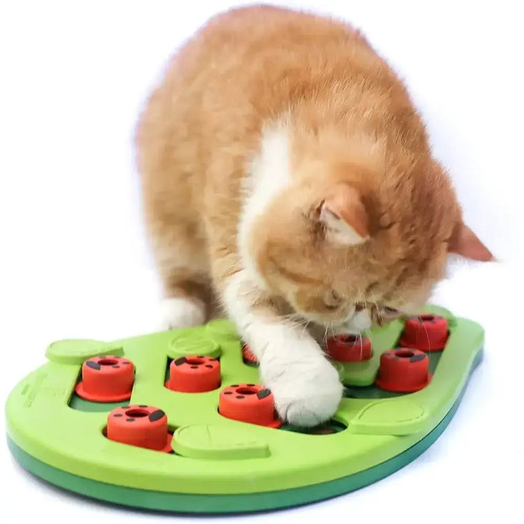 Cat Puzzle Treat Toy Made of High quality Non toxic Plastic with Playful and Interactive Style Adjustable Difficulty