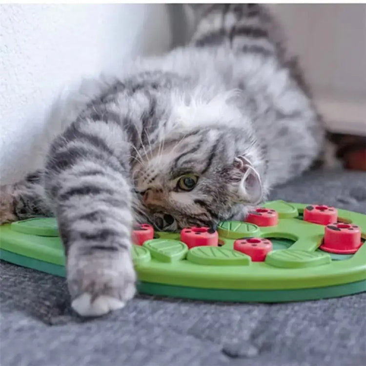 Cat Puzzle Treat Toy Made of High quality Non toxic Plastic with Playful and Interactive Style Adjustable Difficulty
