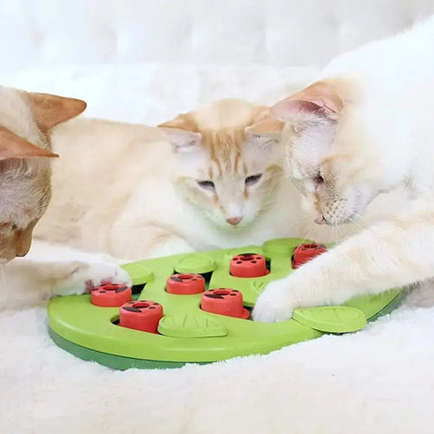 Cat Puzzle Treat Toy Made of High quality Non toxic Plastic with Playful and Interactive Style Adjustable Difficulty