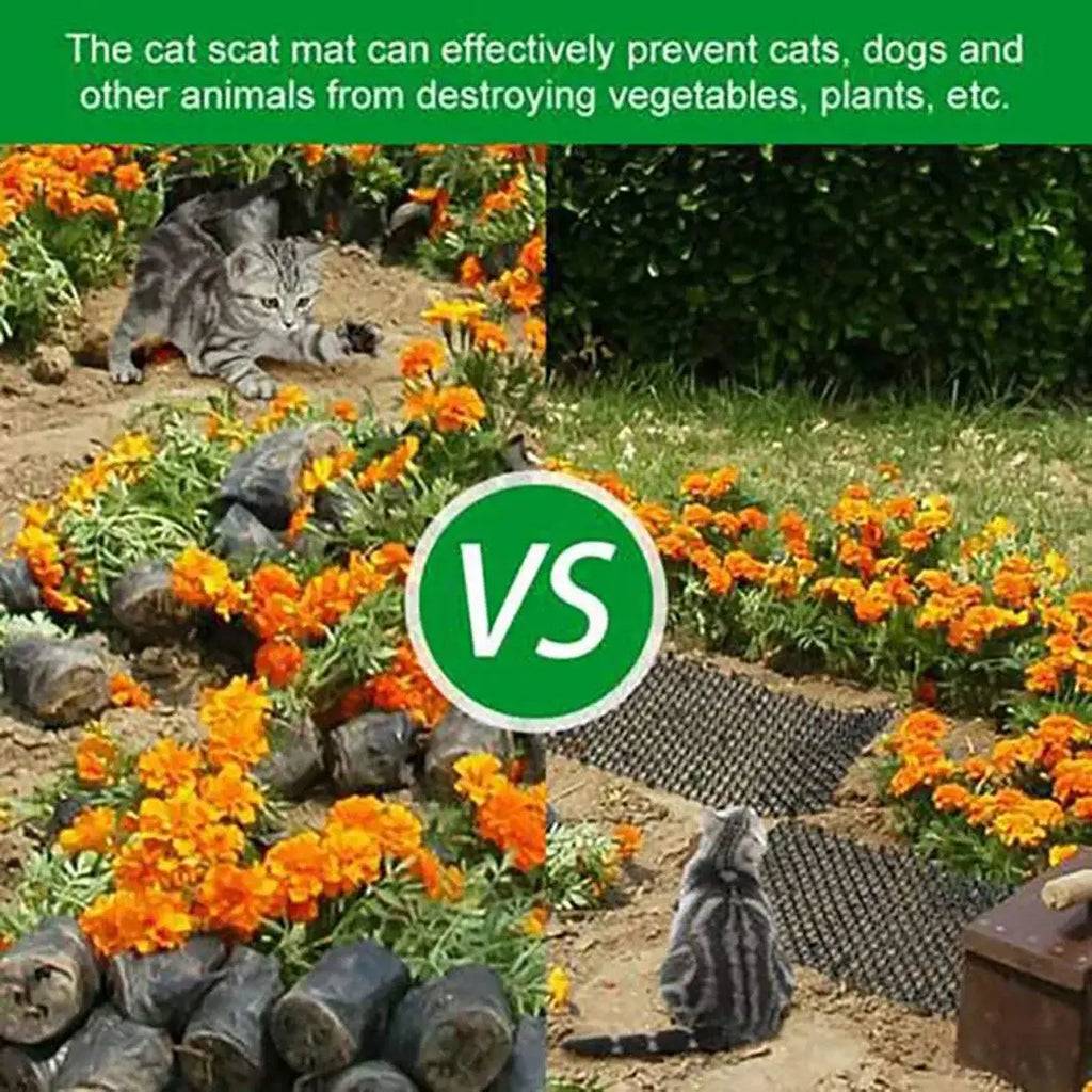 Cat Scat Mat Garden Anti-Cat And Pest Plastic Prickle Strip Network Digging Stopper Cat Dog Expulsion Mat Anti-Cat