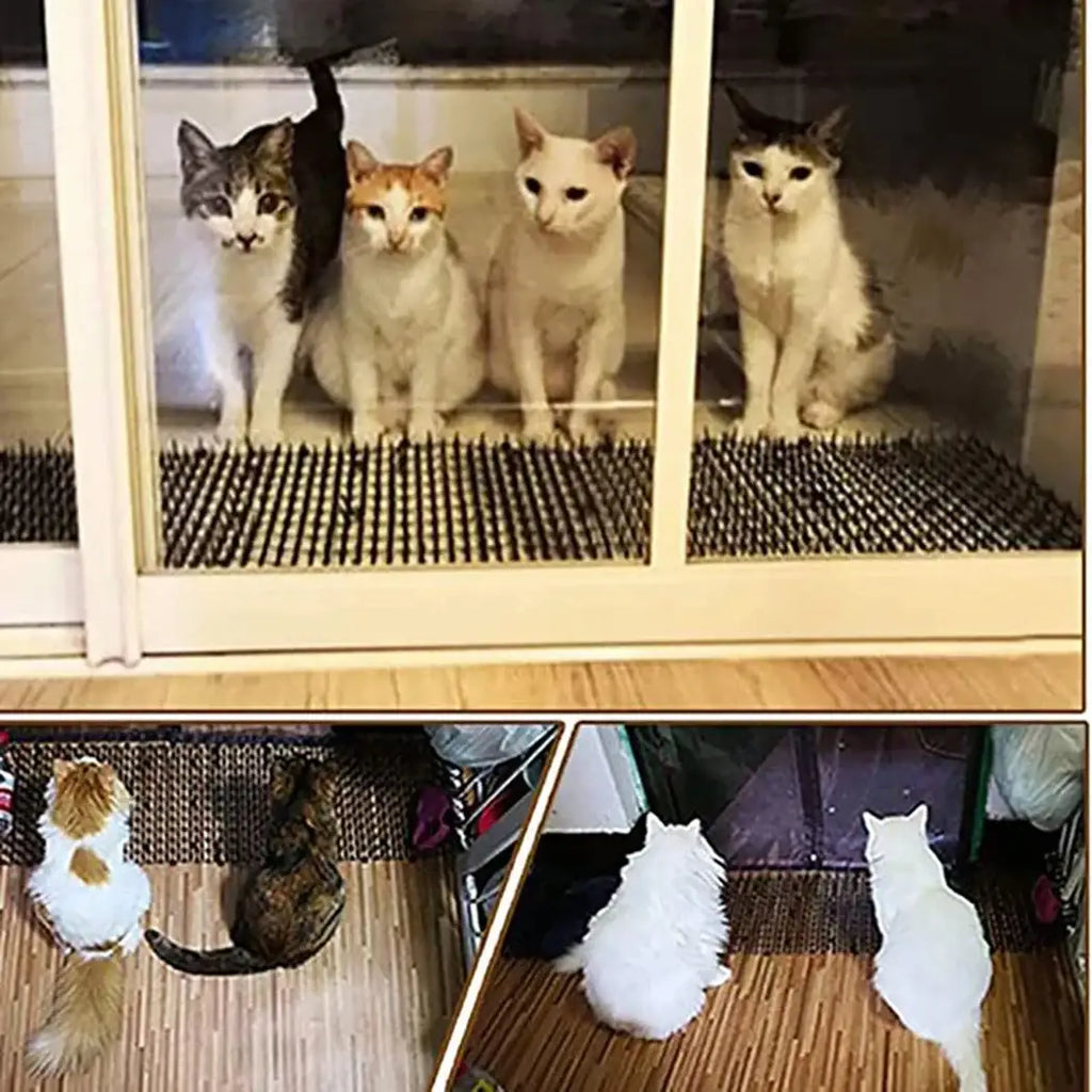 Cat Scat Mat Garden Anti-Cat And Pest Plastic Prickle Strip Network Digging Stopper Cat Dog Expulsion Mat Anti-Cat