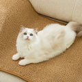 Cat Scratchers Mat For Indoor Cat Wear-resistant Protective Sofa Mat For Kittens Cat - S / China Mainland