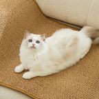 Cat Scratchers Mat For Indoor Cat Wear-resistant Protective Sofa Mat For Kittens Cat