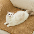 Cat Scratchers Mat For Indoor Cat Wear-resistant Protective Sofa Mat For Kittens Cat