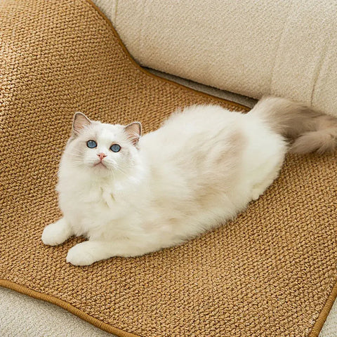 Cat Scratchers Mat For Indoor Cat Wear-resistant Protective Sofa Mat For Kittens Cat - S / China Mainland