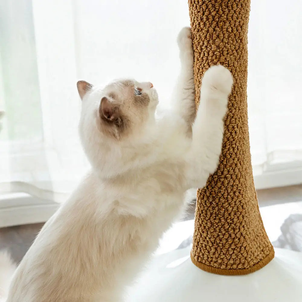 Cat Scratchers Mat For Indoor Cat Wear-resistant Protective Sofa Mat For Kittens Cat