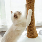 Cat Scratchers Mat For Indoor Cat Wear-resistant Protective Sofa Mat For Kittens Cat
