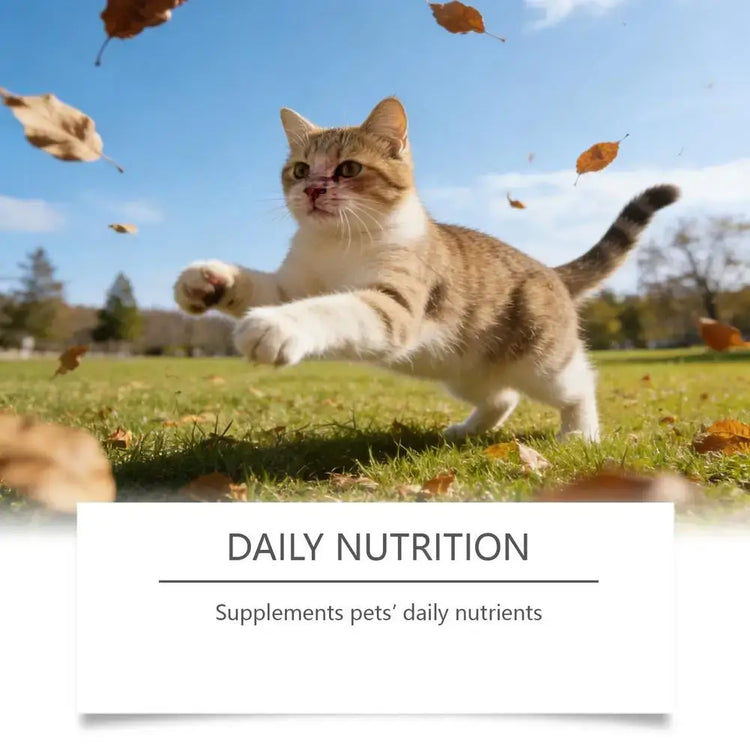 Cat Taurine Powder Gentle Formula To Care For Pet’s Comfortable Body Massage Care Nutrition Powder Taurine powder for