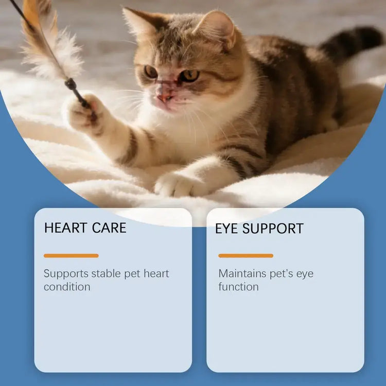 Cat Taurine Powder Gentle Formula To Care For Pet’s Comfortable Body Massage Care Nutrition Powder Taurine powder for