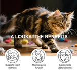 Cat Taurine Powder Gentle Formula To Care For Pet’s Comfortable Body Massage Care Nutrition Powder Taurine powder for