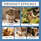 Cat Taurine Powder Support Heart Health Promote Healthy Growth Maintain Visual Function Smooth Hair Kitten Care