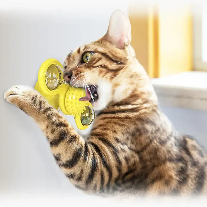 Cat Toy Windmill Rotating Turntable Interactive Pet Scratcher Hair Brush Catnip Teaser Toy for Kittens Cats Pet Supplies