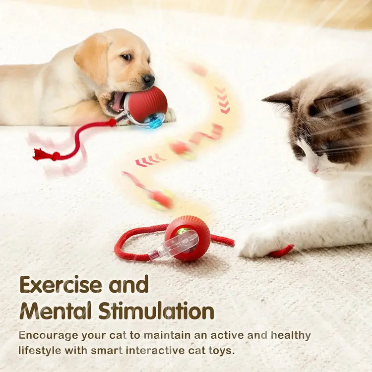Cat Toys for Kitten Cats Ball Toys Pet Product Cat’s Accessories for Home Automatic Electronic Indoor Interactive Cat