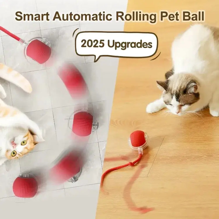 Cat Toys for Kitten Cats Ball Toys Pet Product Cat’s Accessories for Home Automatic Electronic Indoor Interactive Cat