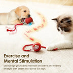 Cat Toys for Kitten Cats Ball Toys Pet Product Cat’s Accessories for Home Automatic Electronic Indoor Interactive Cat
