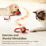 Cat Toys for Kitten Cats Ball Toys Pet Product Cat’s Accessories for Home Automatic Electronic Indoor Interactive Cat
