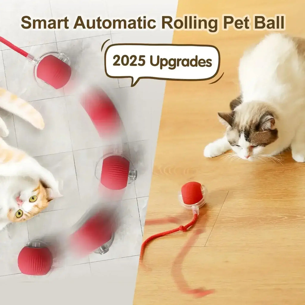 Cat Toys for Kitten Cats Ball Toys Pet Product Cat’s Accessories for Home Automatic Electronic Indoor Interactive Cat