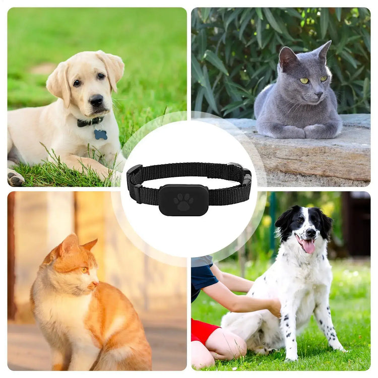 Cat Trackers GPS Cat Tracker Collar Pet Kitten GPS Collar Multifunctional Pet Smart GPS Trackers Pets Accessories IOS