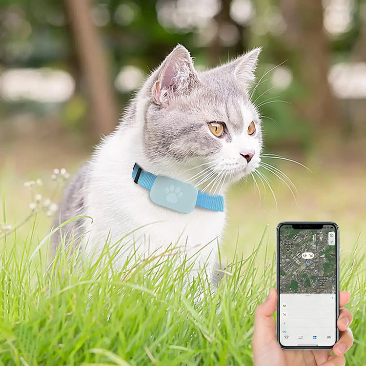 Cat Trackers GPS Cat Tracker Collar Pet Kitten GPS Collar Multifunctional Pet Smart GPS Trackers Pets Accessories IOS