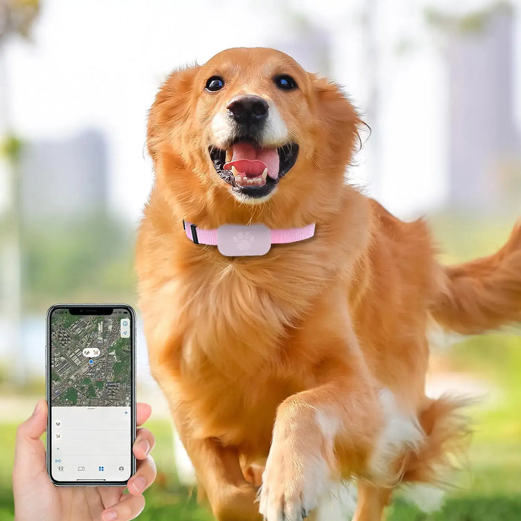 Cat Trackers GPS Cat Tracker Collar Pet Kitten GPS Collar Multifunctional Pet Smart GPS Trackers Pets Accessories IOS