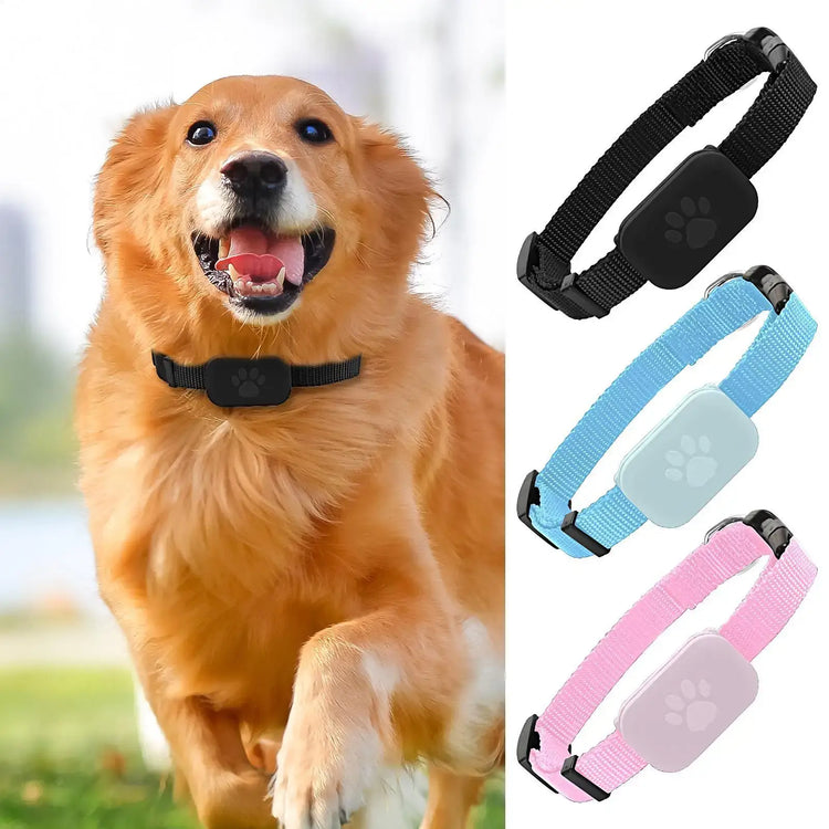 Cat Trackers GPS Cat Tracker Collar Pet Kitten GPS Collar Multifunctional Pet Smart GPS Trackers Pets Accessories IOS