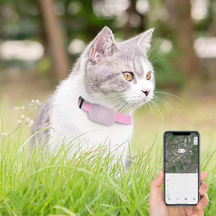 Cat Trackers GPS Cat Tracker Collar Pet Kitten GPS Collar Multifunctional Pet Smart GPS Trackers Pets Accessories IOS