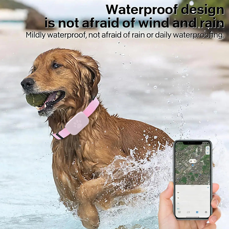 Cat Trackers GPS Cat Tracker Collar Pet Kitten GPS Collar Multifunctional Pet Smart GPS Trackers Pets Accessories IOS
