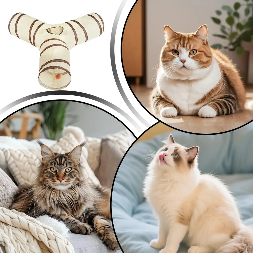 Cat Tunnel Long Cat Play Tunnel Foldable Funny Interactive Indoor Play Toys Games Kitty Cubes Pet Supplies