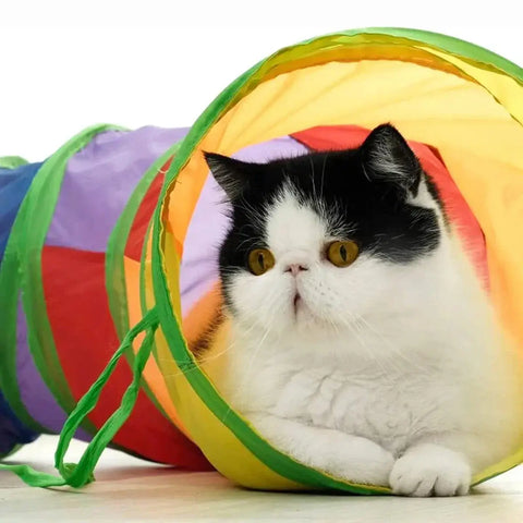 Cat Tunnel Tube Foldable Cat Toys Kitty Training Interactive Fun Toy Tunnel Bored for Puppy Kitten Pet Supplies Cat