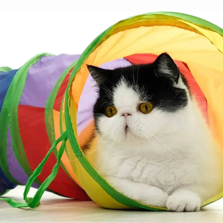 Cat Tunnel Tube Foldable Cat Toys Kitty Training Interactive Fun Toy Tunnel Bored for Puppy Kitten Pet Supplies Cat