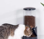 Cat Water Dispenser Moisture-proof Feeders and Water Fountain Large Capacity Detachable Design Cat Accessories for Cats