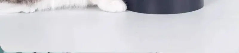 Cat Water Dispenser Moisture-proof Feeders and Water Fountain Large Capacity Detachable Design Cat Accessories for Cats