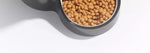 Cat Water Dispenser Moisture-proof Feeders and Water Fountain Large Capacity Detachable Design Cat Accessories for Cats