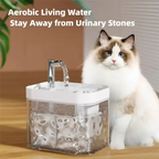 Cat Water Fountain Auto Filter Transparent Cat Drinker USB Anti-Dry Burning Recirculate Filtering Water Dispenser with