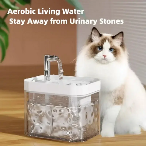 Cat Water Fountain Auto Filter Transparent Cat Drinker USB Anti-Dry Burning Recirculate Filtering Water Dispenser with