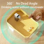 Cat Water Fountain Auto Filter Transparent Cat Drinker USB Anti-Dry Burning Recirculate Filtering Water Dispenser with