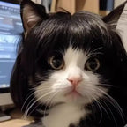 Cat Wig Accessories Dog Headdress Funny Costume Puppy Cosplay Dress Up Cute Pet Wig Cosplay Funny Props Head