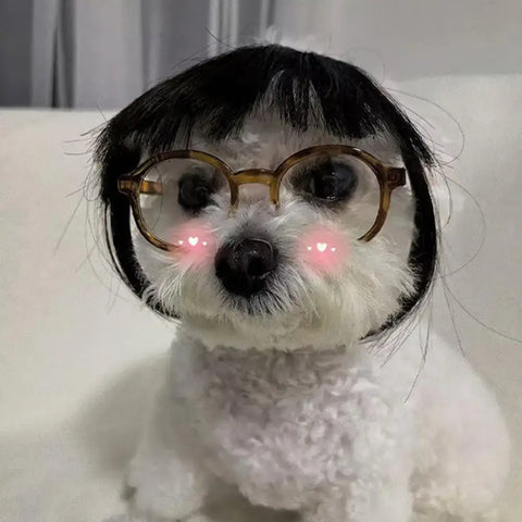 Cat Wig Accessories Dog Headdress Funny Costume Puppy Cosplay Dress Up Cute Pet Wig Cosplay Funny Props Head
