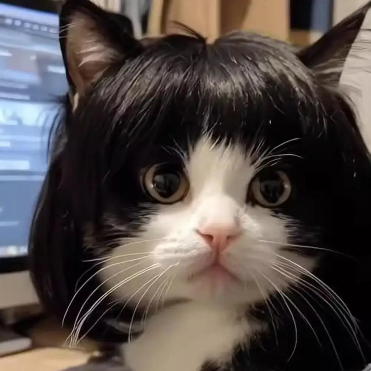 Cat Wig Accessories Dog Headdress Funny Costume Puppy Cosplay Dress Up Cute Pet Wig Cosplay Funny Props Head