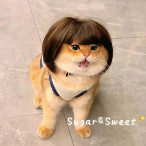 Cat Wig Accessories Dog Headdress Funny Costume Puppy Cosplay Dress Up Cute Pet Wig Cosplay Funny Props Head