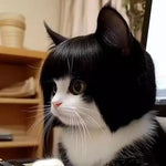 Cat Wig Accessories Dog Headdress Funny Costume Puppy Cosplay Dress Up Cute Pet Wig Cosplay Funny Props Head