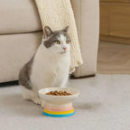 Ceramic Cat Bowl Flat/Slanted Mouth Cervical Spine Protection Cat Elevated Bowl Handmade Anti Tipping Pet Food Bowl