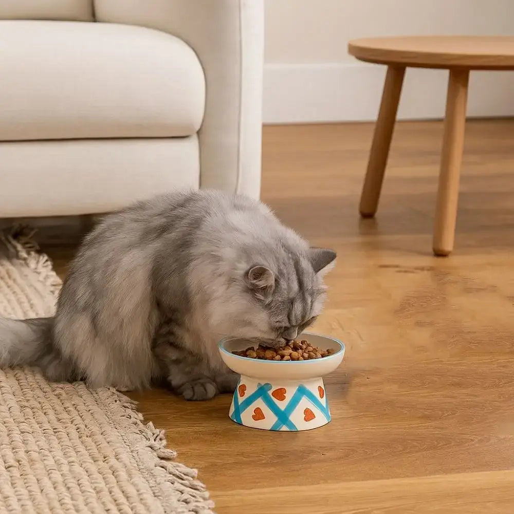 Ceramic Cat Bowl Flat/Slanted Mouth Cervical Spine Protection Cat Elevated Bowl Handmade Anti Tipping Pet Food Bowl
