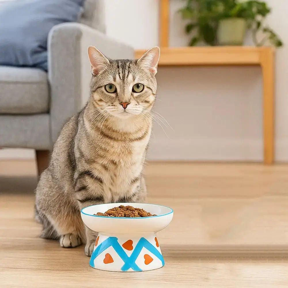 Ceramic Cat Bowl Flat/Slanted Mouth Cervical Spine Protection Cat Elevated Bowl Handmade Anti Tipping Pet Food Bowl