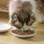 Ceramic Cat Plates With Silicone Anti Slip Pad Pet Cat Snack Bowl Cute Kitten Food Bowl Pet Kitten Water Bowl Pet