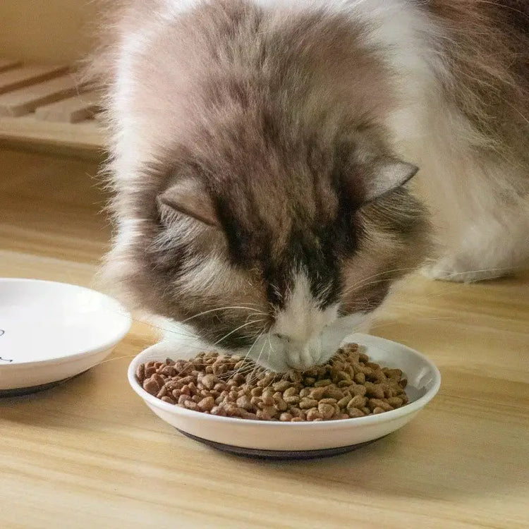 Ceramic Cat Plates With Silicone Anti Slip Pad Pet Cat Snack Bowl Cute Kitten Food Bowl Pet Kitten Water Bowl Pet