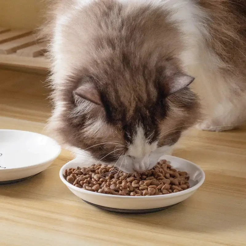 Ceramic Cat Plates With Silicone Anti Slip Pad Pet Cat Snack Bowl Cute Kitten Food Bowl Pet Kitten Water Bowl Pet